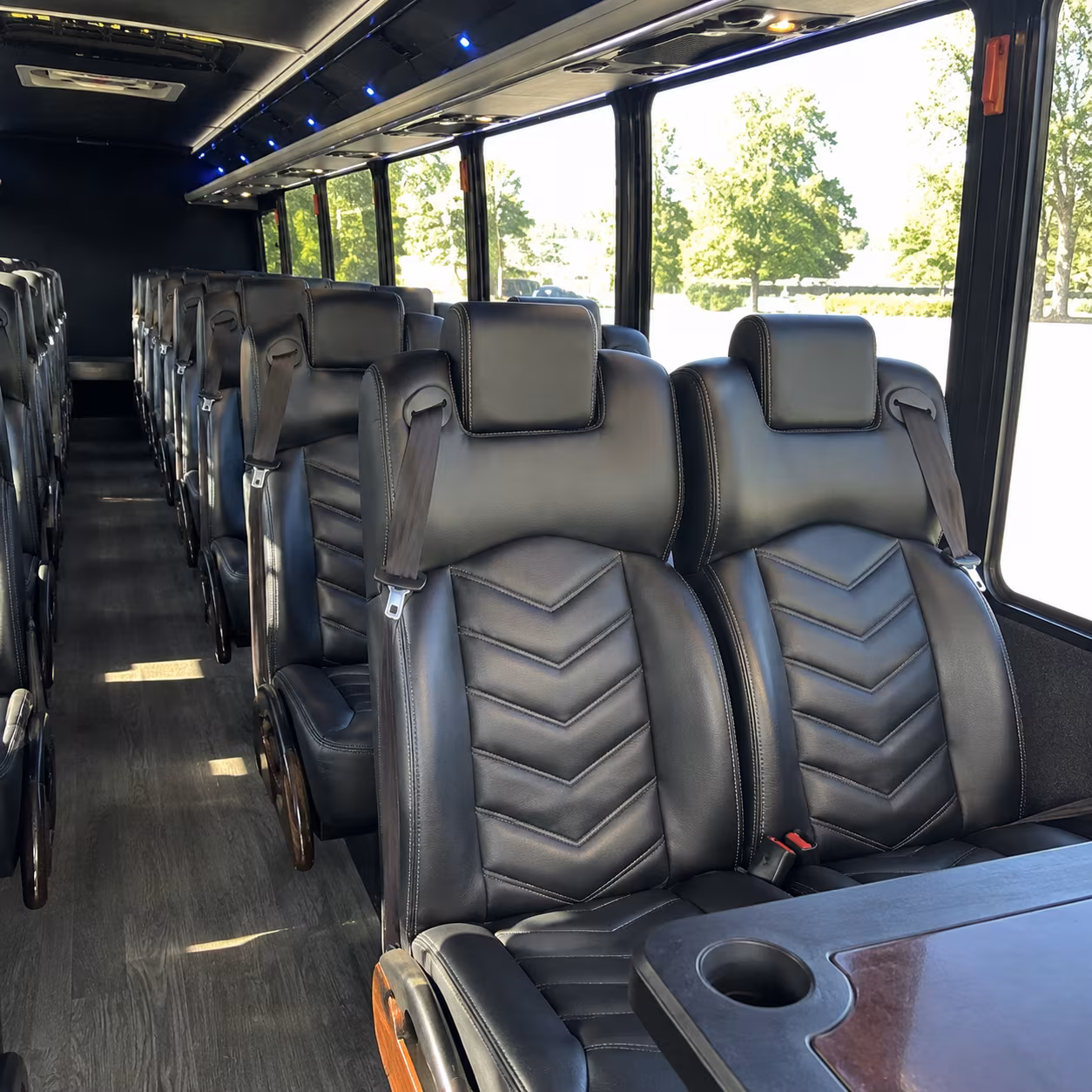 denver international airport shuttle buses from colorado springs